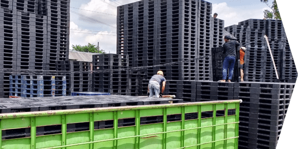 CV-Ardana-Jaya-Abadi-Sukses-Penjual-Pallet-Plastik-Bekasi